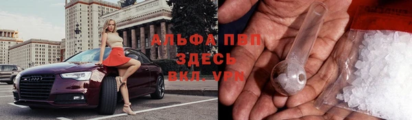стаф Баксан