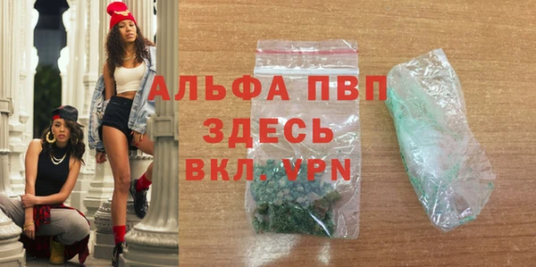 стаф Баксан