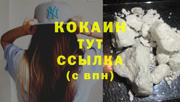 стаф Баксан