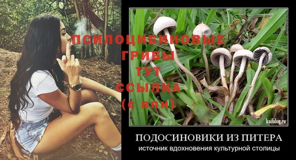 стаф Баксан