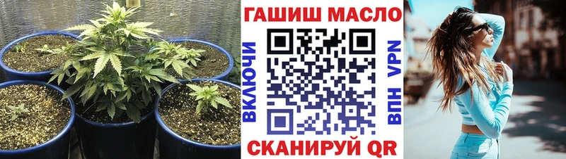 hydra онион  Козельск  Дистиллят ТГК гашишное масло  сколько стоит 