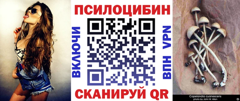 omg онион  Козельск  Галлюциногенные грибы Magic Shrooms 